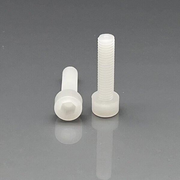 PVDF Hex Socket Head Cap Screw
